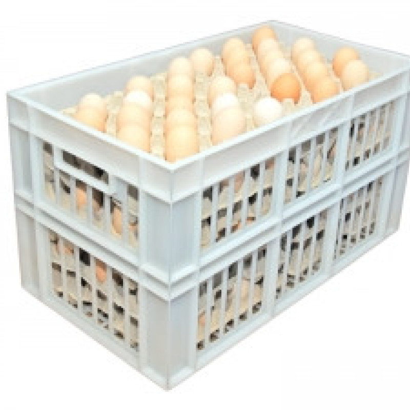 Ящик пластиковий 660х360х366 кольоровий